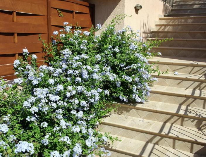 Provenzo And Meliti Villas 로우드하타 외부 사진